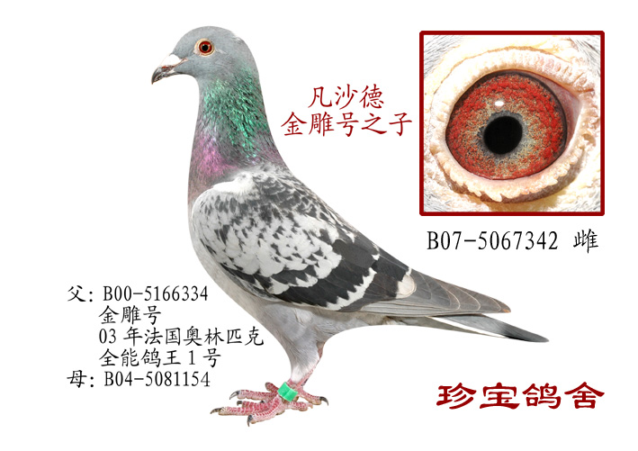 20100927122436.jpg