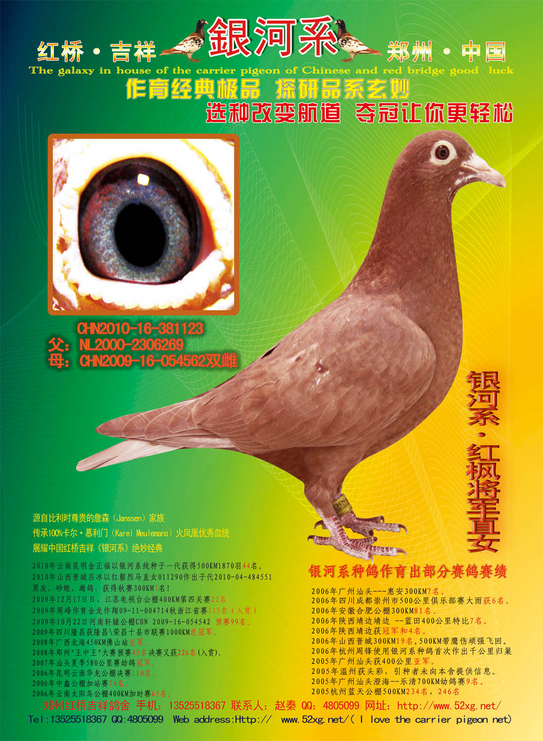 银河新一代381123(慕利门之铅笔灰x火凤凰) 保证金级 拍卖