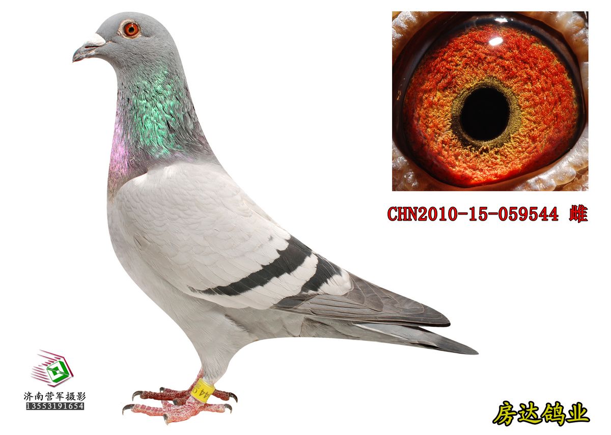 H32603.jpg