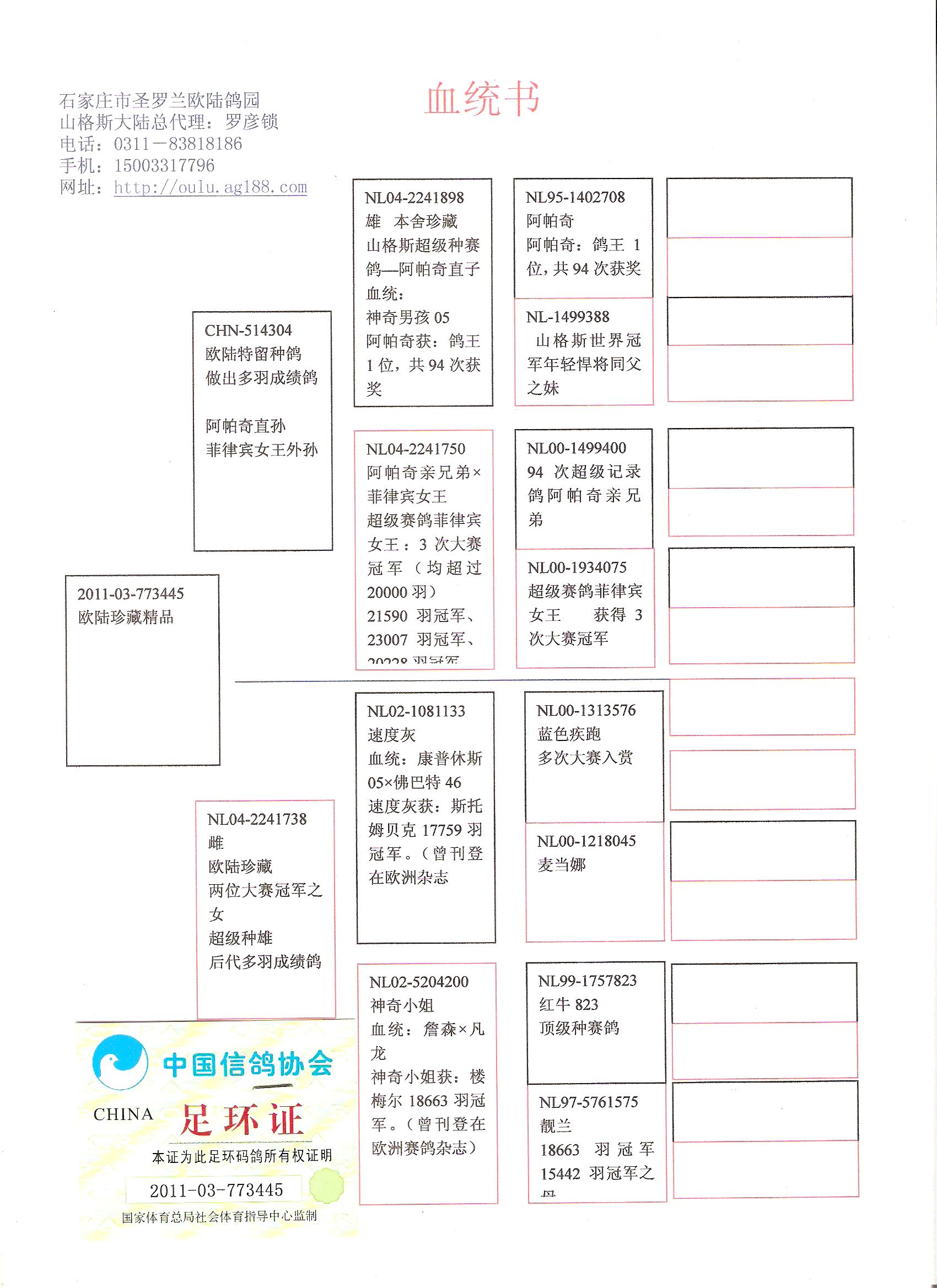 小金母-雌 *********************************** 体型中等,紧凑,上手柔滑,轻盈 眼睛漂亮,羽条破风很好,典型快速鸽 血统里有超过5次近20000羽冠军 建议与14号拍卖鸽一同拍回,让你玩的得心应手 本期拿出两羽此血统雌鸽,可谓用心良苦 一羽来自两位冠军直子,一羽来自直女 此血统鸽10月1日万羽联翔获9位10位 *********************************** 阿帕奇获:鸽王1位,共94次获奖,多福3467羽亚军,侯登 2241羽季军,罗美3632羽
