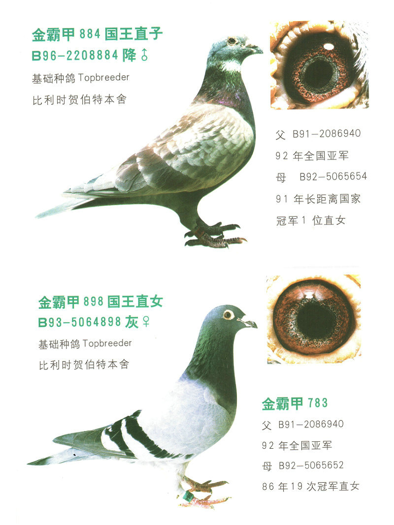 20×9年2月1日,甲公司购入一台需要安装的生