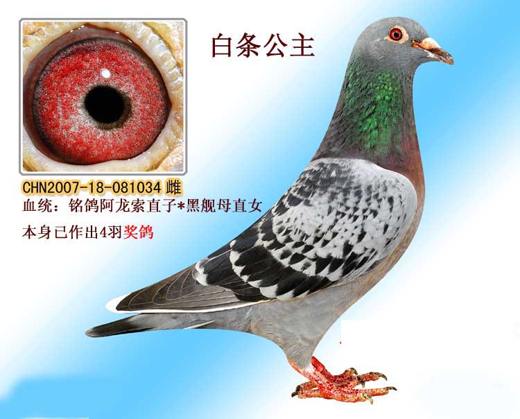 20111205151952.jpg