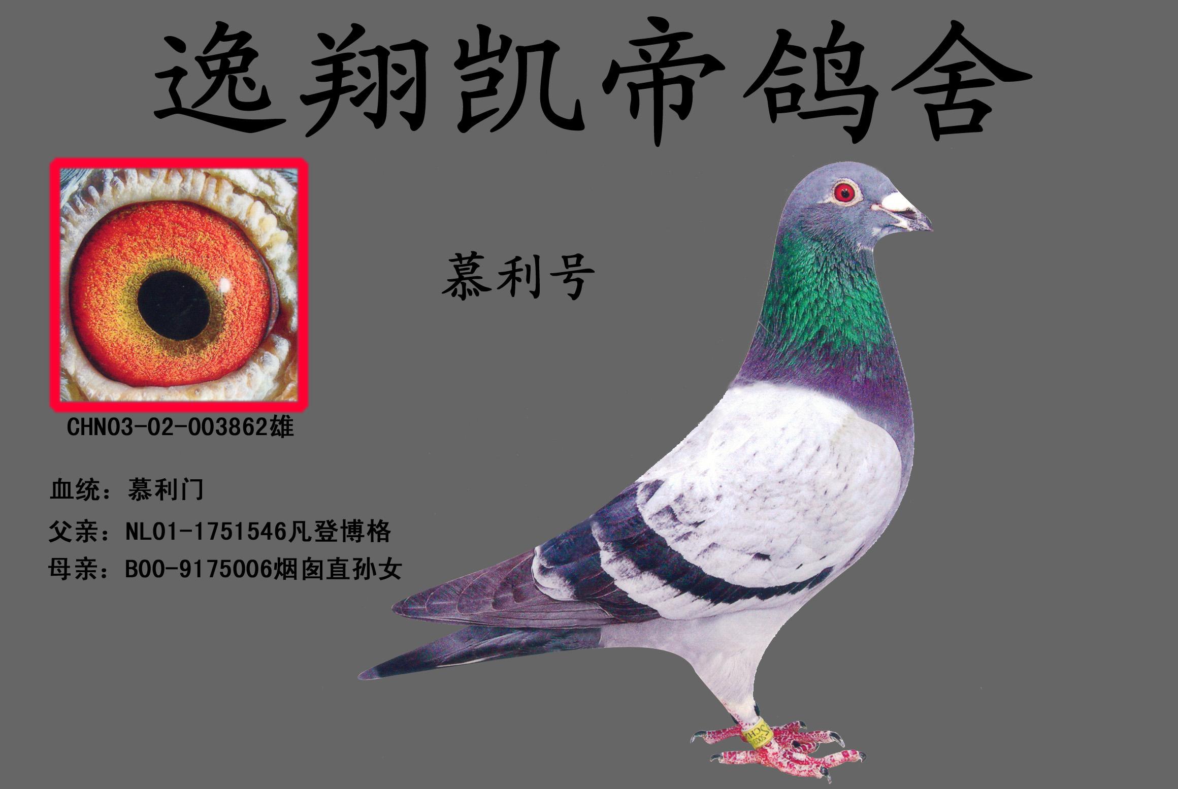 H56953.jpg