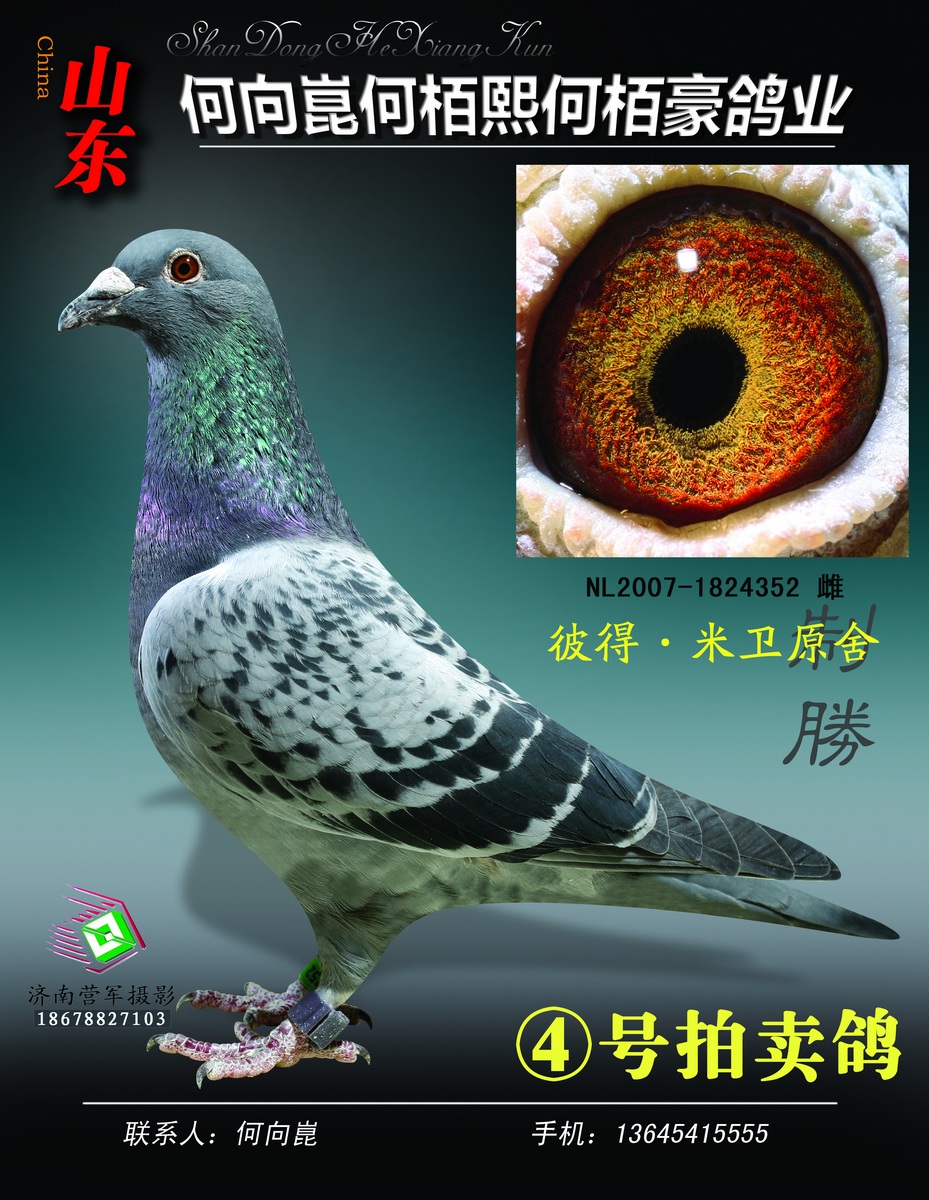 彼得·米卫原舍 保证金级 拍卖
