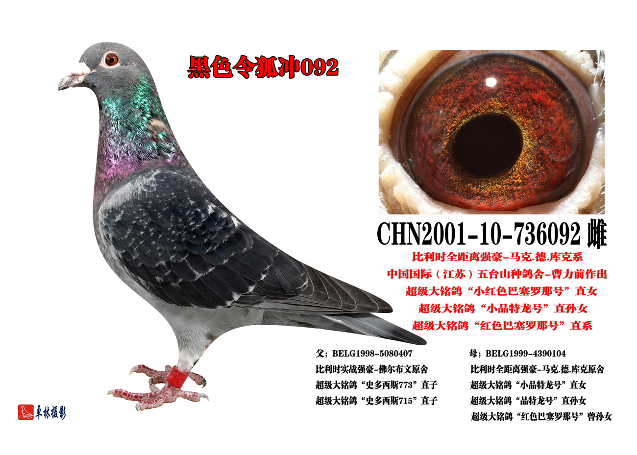 黑色令狐冲(0元起拍) 保证金级 拍卖