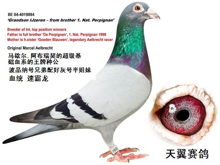20120528101345.jpg