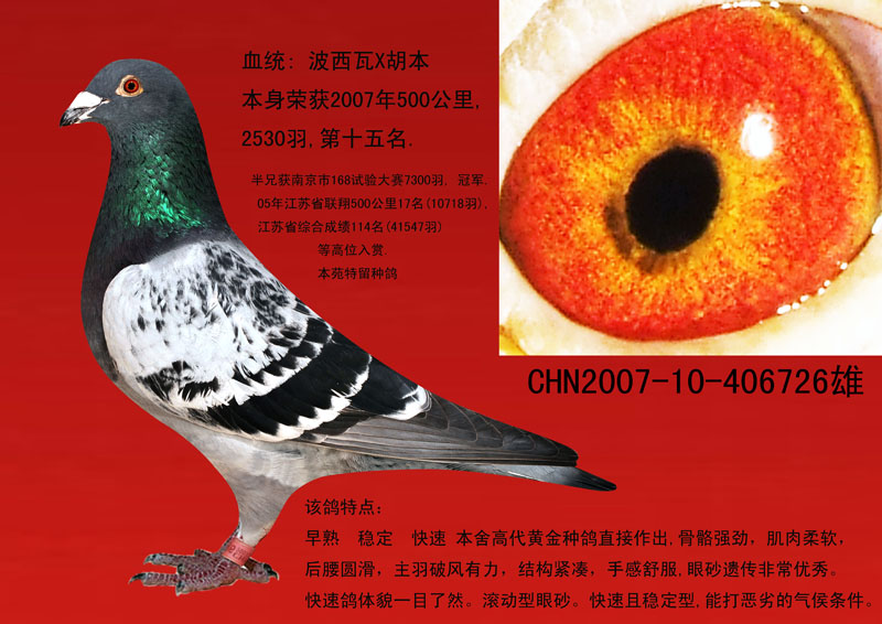 波西瓦x南非33名 45名 保证金级 拍卖