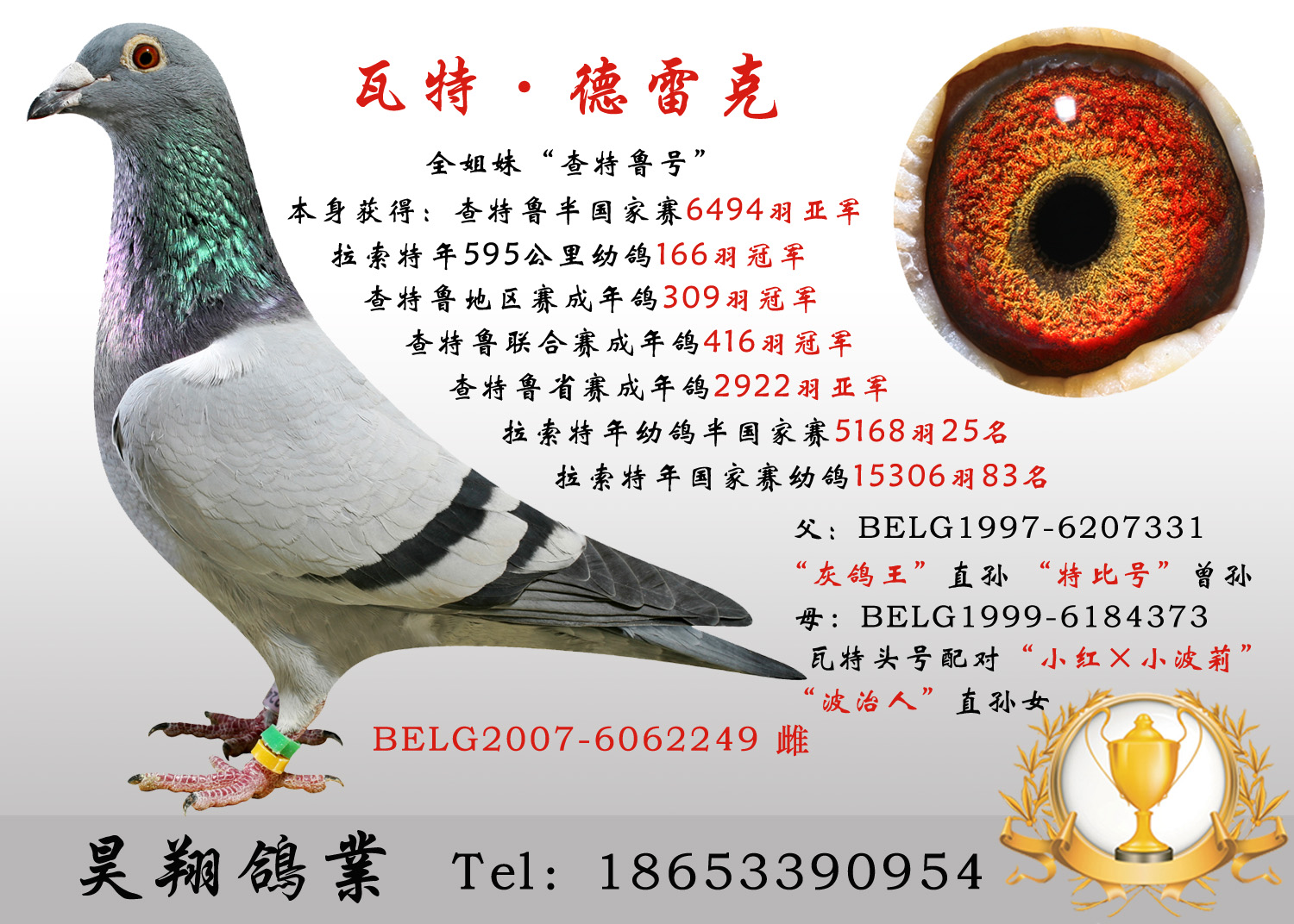 瓦特回血 保证金级 拍卖