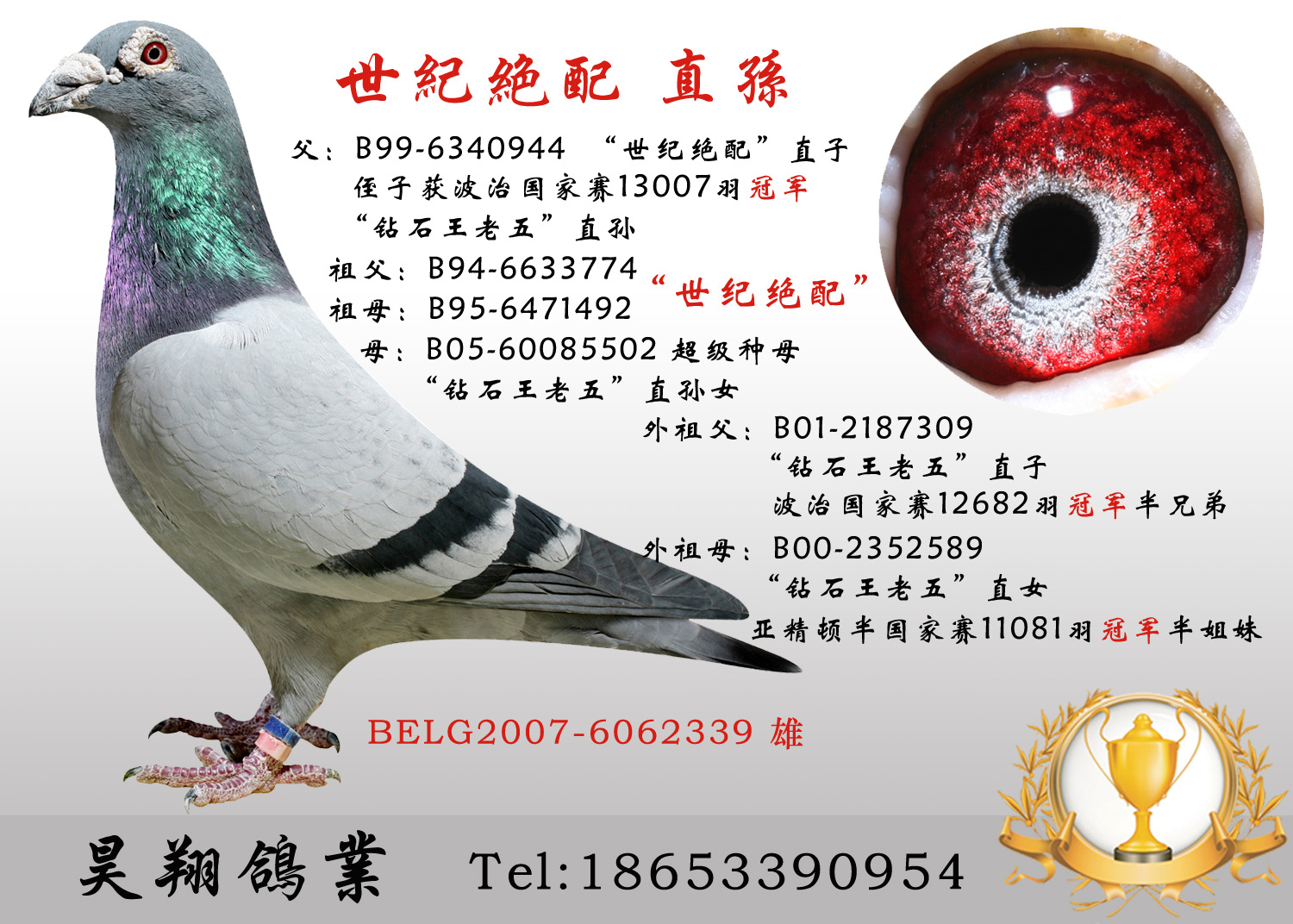 瓦特回血 保证金级 拍卖