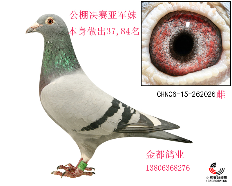 H82353.jpg