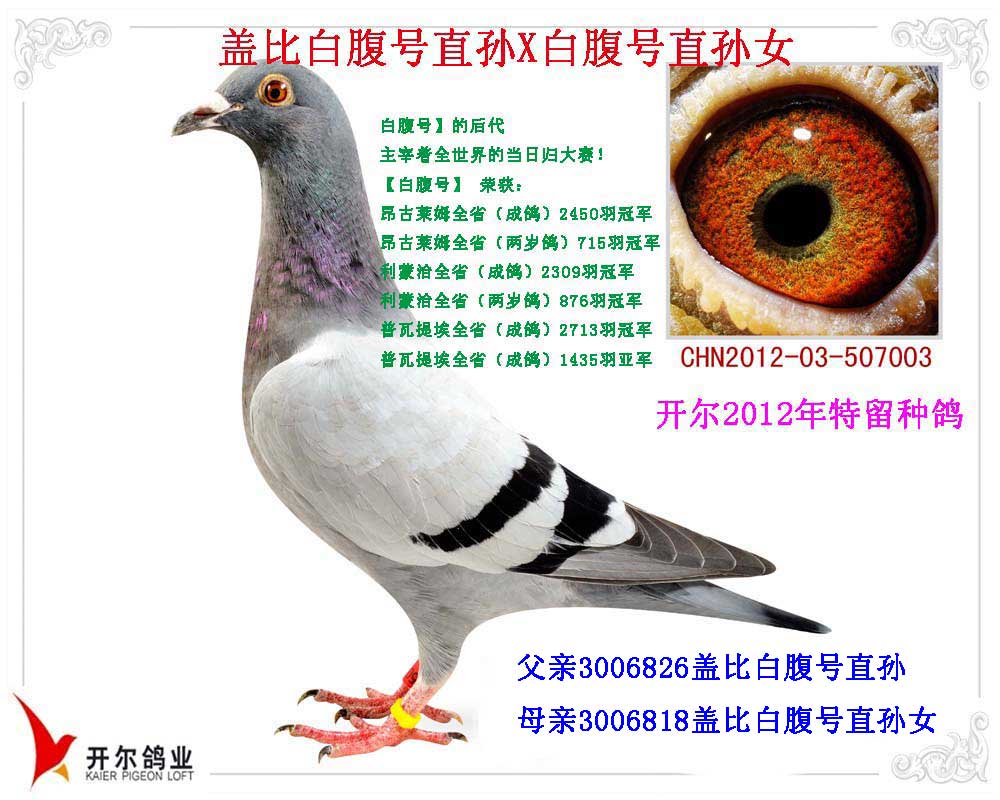 >> 查看拍卖商品
