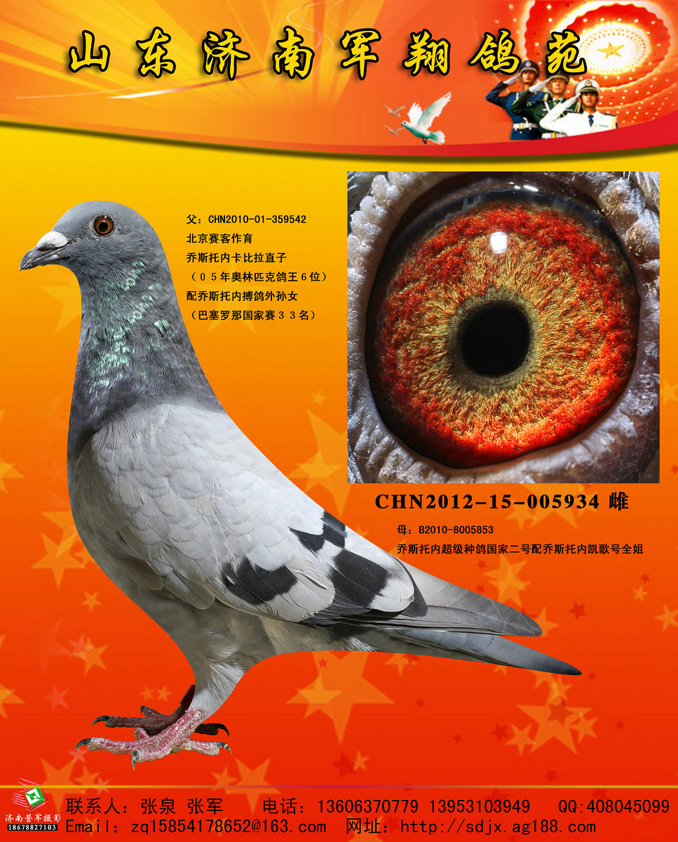 乔斯托内经典铭血 保证金级 拍卖