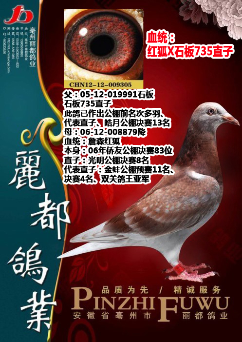 观看竞标过程 运输描述 运输费用:与竞拍款一并支付