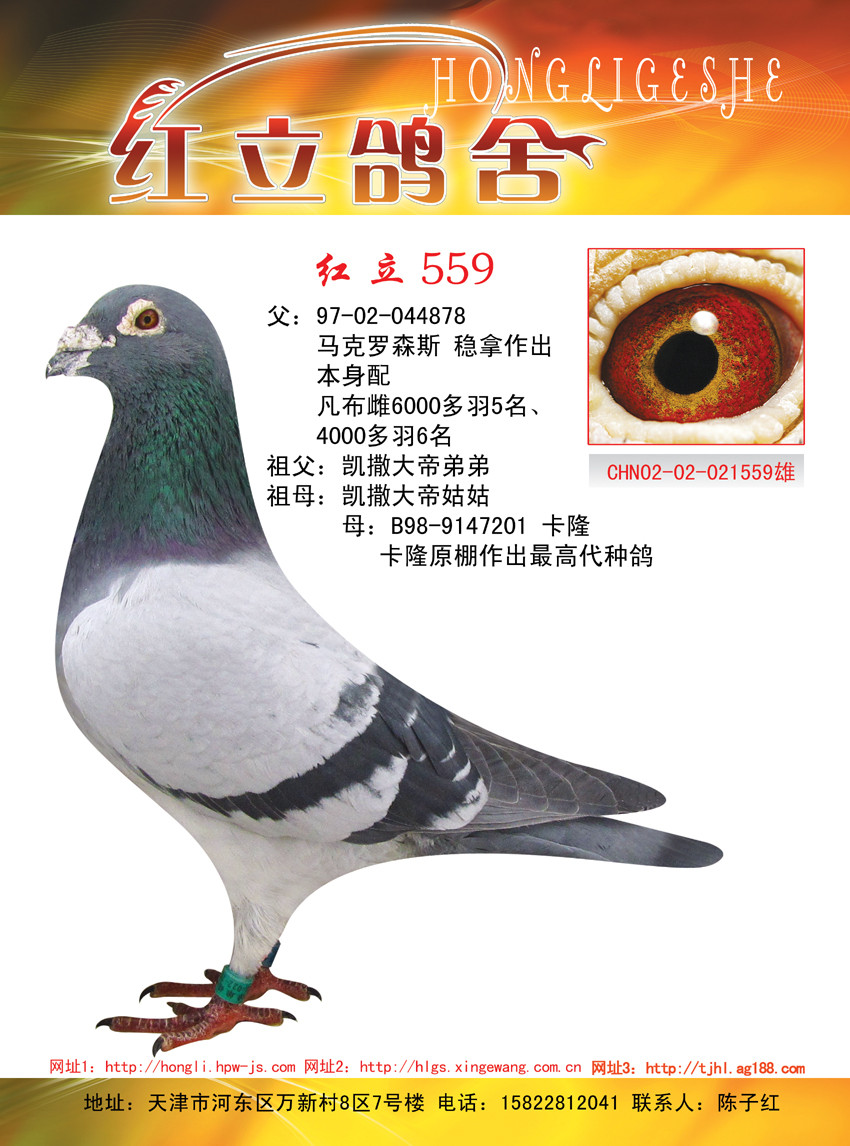 高代"马克罗森斯" 保证金级 拍卖