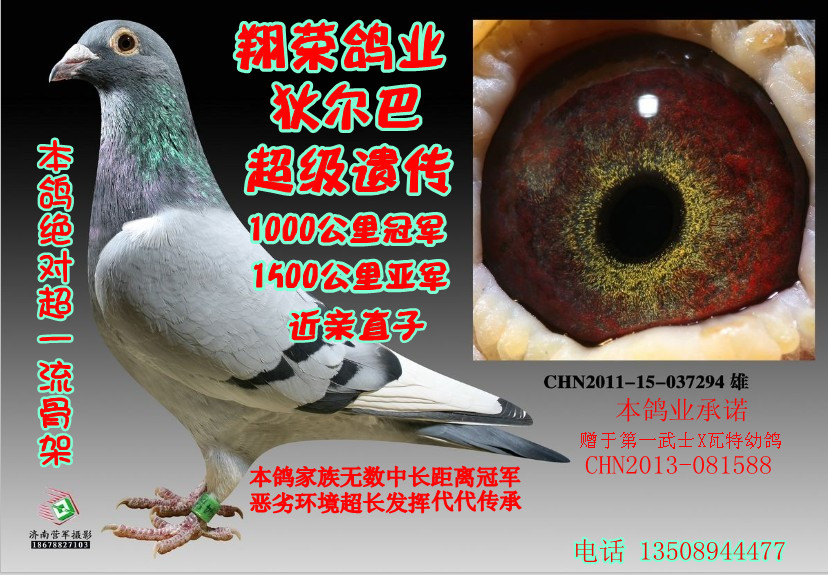 翔荣 超级【狄尔巴】冠军回血294 保证金级 拍卖