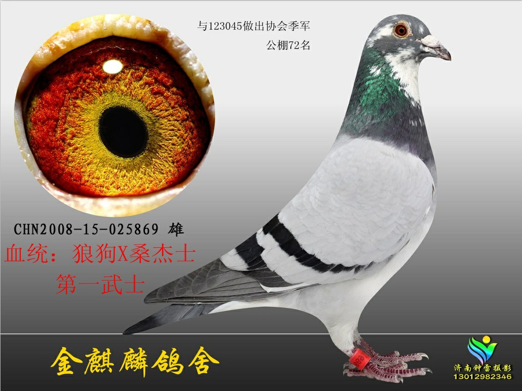 桑杰士第一武士 保证金级 拍卖
