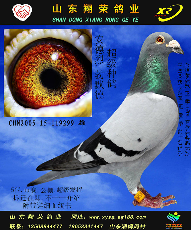 >> 查看拍卖商品