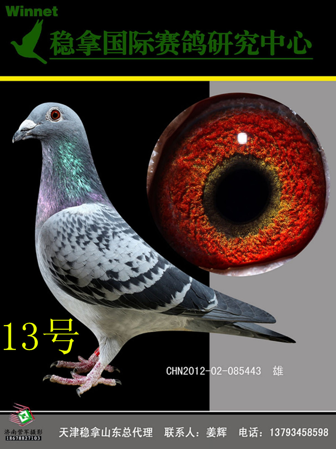 >> 查看拍卖商品