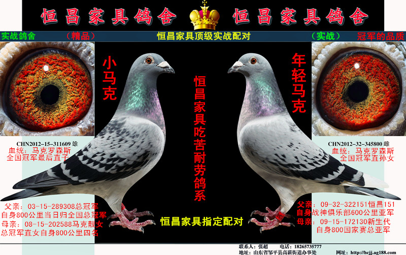 恒昌家具马克罗森斯家族实战配对 保证金级 拍卖