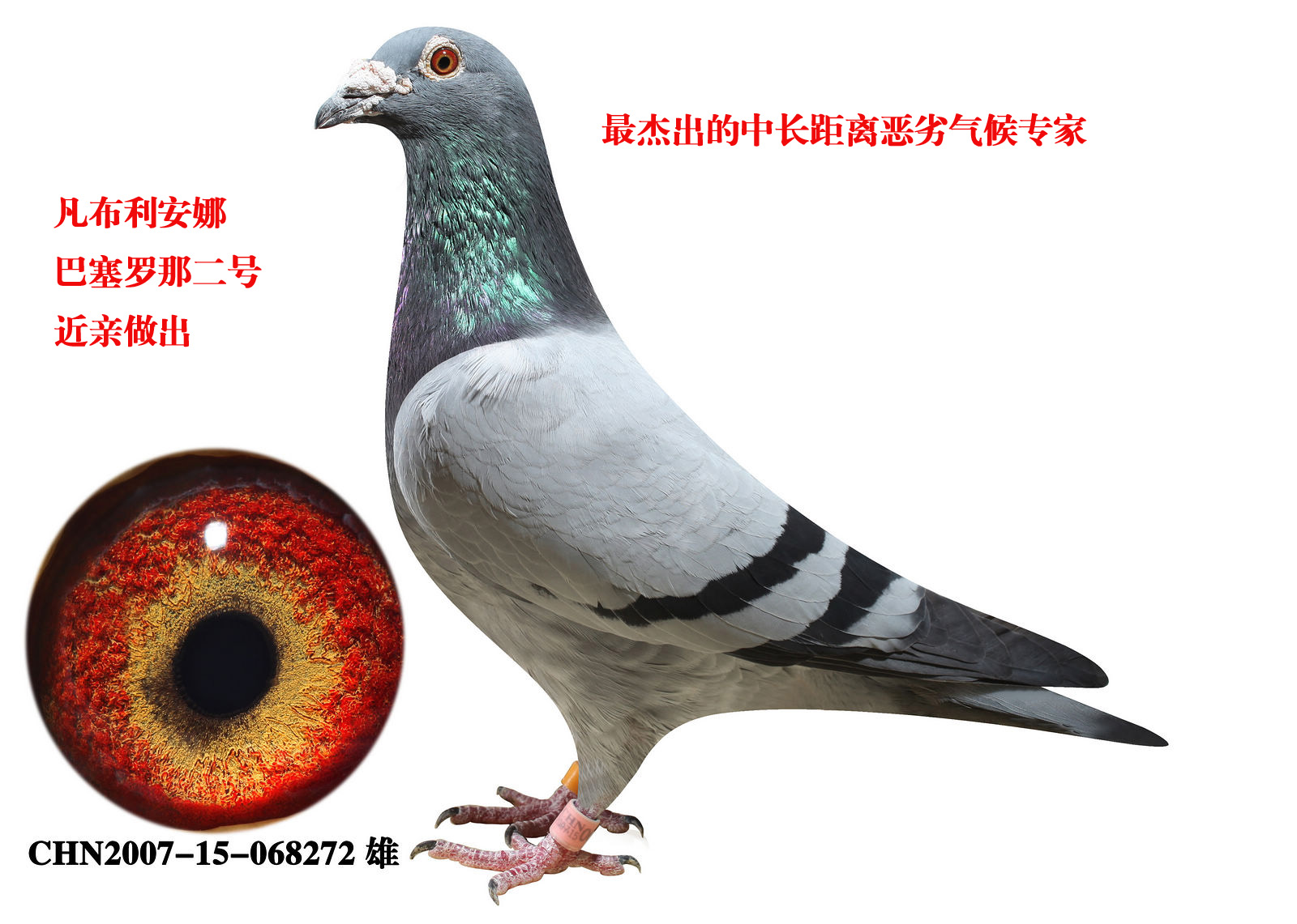 1600_1141