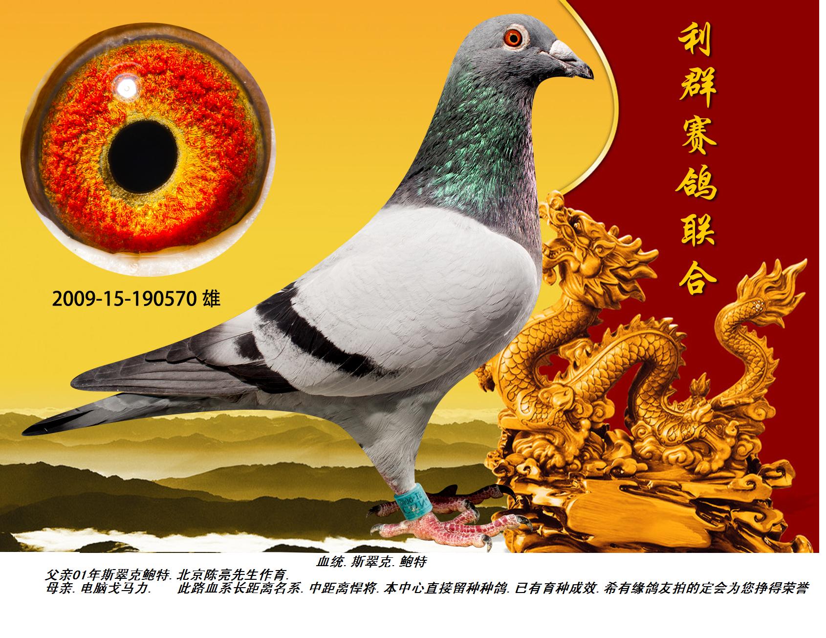 斯翠克.鲍特 保证金级 拍卖