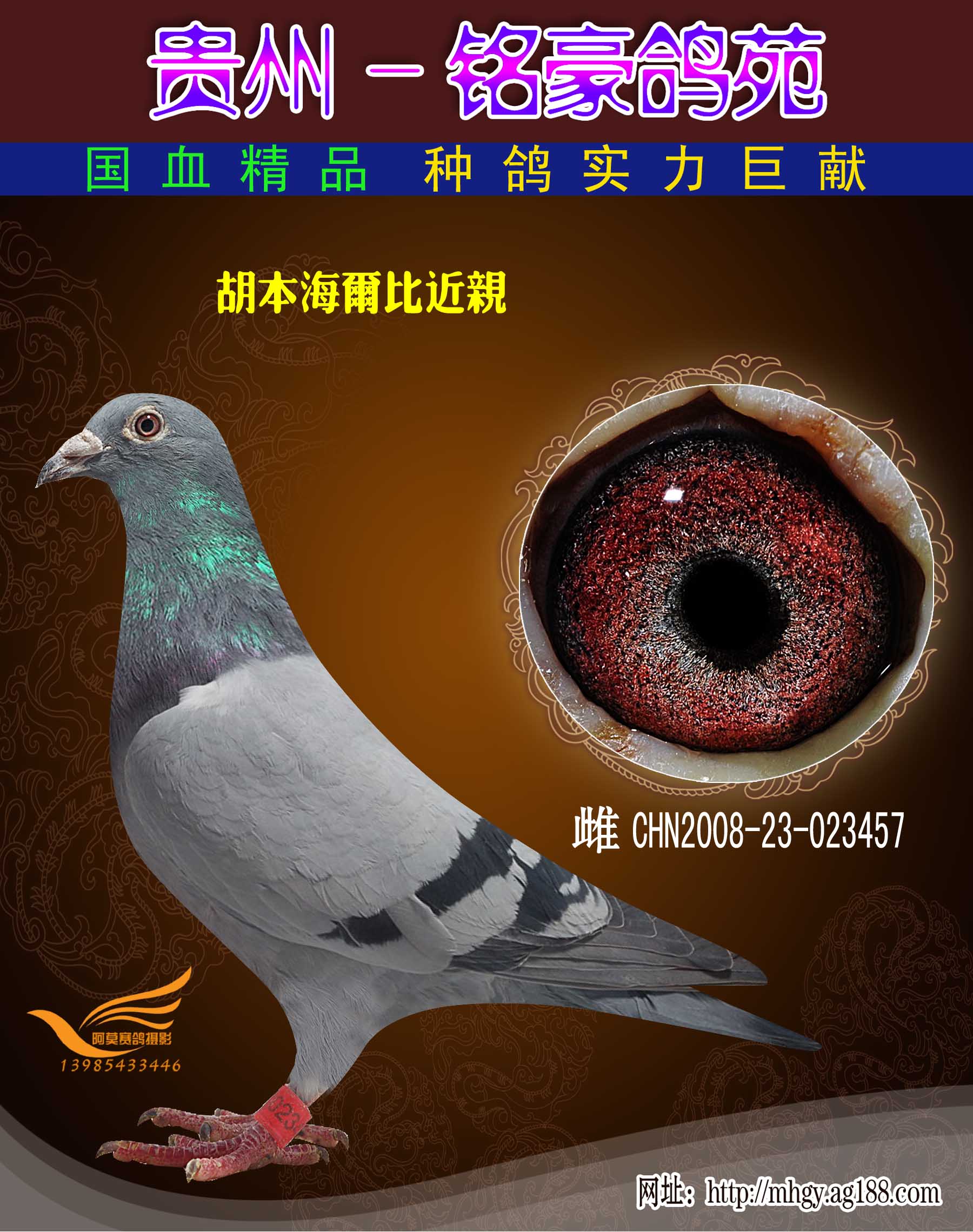 胡本海尔比近亲 保证金级 拍卖