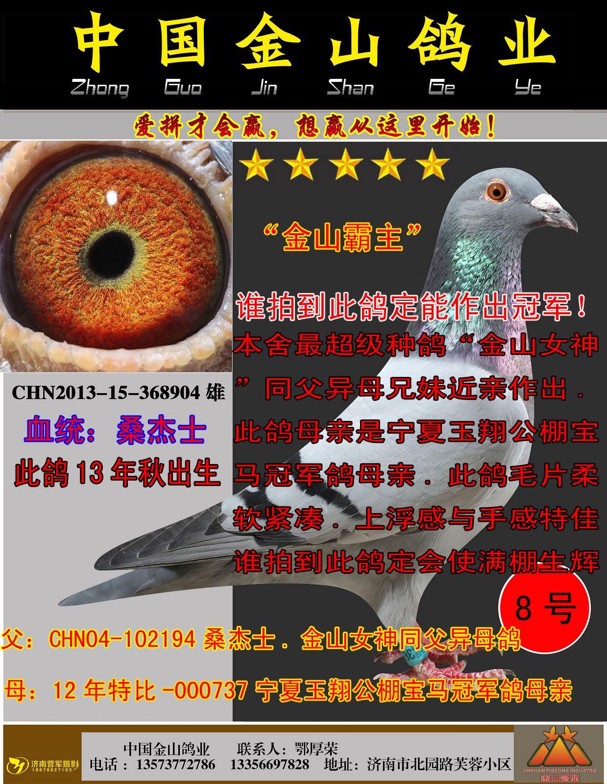 毕加索画完最后一笔,小白鸽倒在了画案上,永远闭上了双眼……高清图片