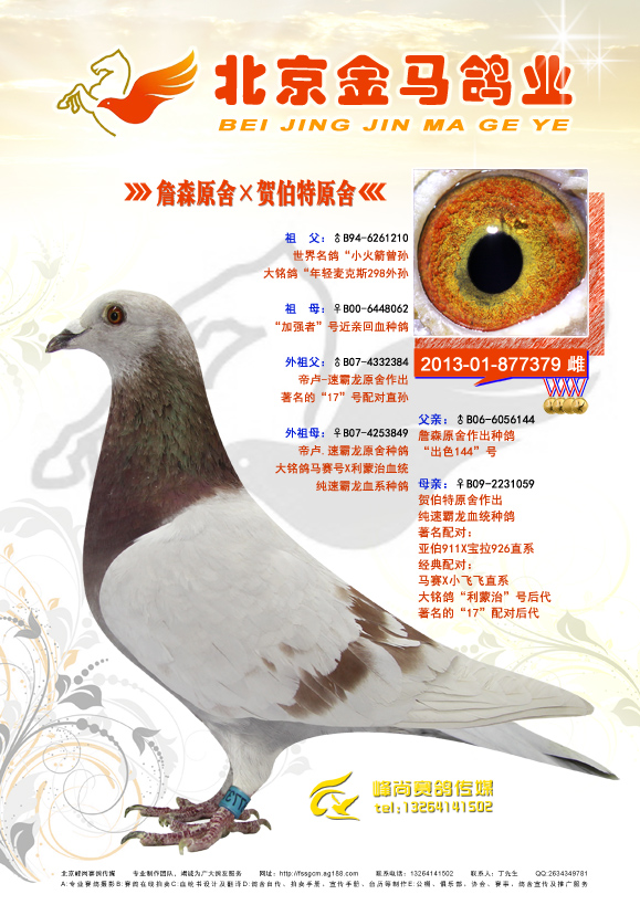 詹森原舍×贺伯特原舍 保证金级 拍卖