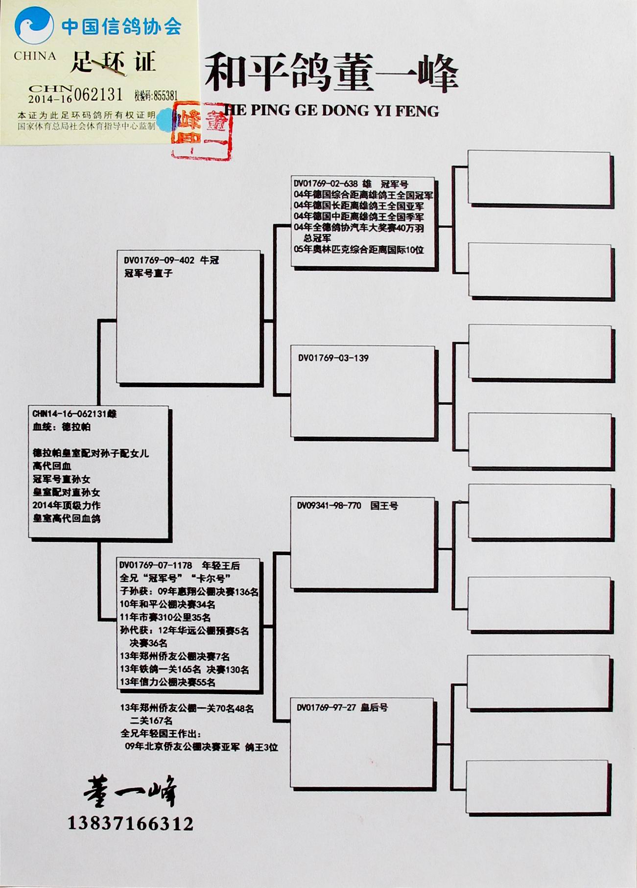 拍卖鸽已注射德国原产捷飞达(巴拉米哥+沙门氏菌)疫苗 CHN14-16-062131雌 血统:德拉帕 德拉帕皇室配对孙子配女儿 高代回血 冠军号直孙女 皇室配对直孙女 2014年顶级力作 皇室高代回血鸽 父:DV01769-09-402 牛冠 冠军号直子 祖父:DV01769-02-638 冠军号 04年德国综合距离雄鸽王全国冠军 04年德国长距离雄鸽王全国亚军 04年德国中距离雄鸽王全国季军 04年全德鸽协汽车大奖赛40万羽总冠军 05年奥林匹克综合距离国际10位 125公里2351羽冠军 202公里2