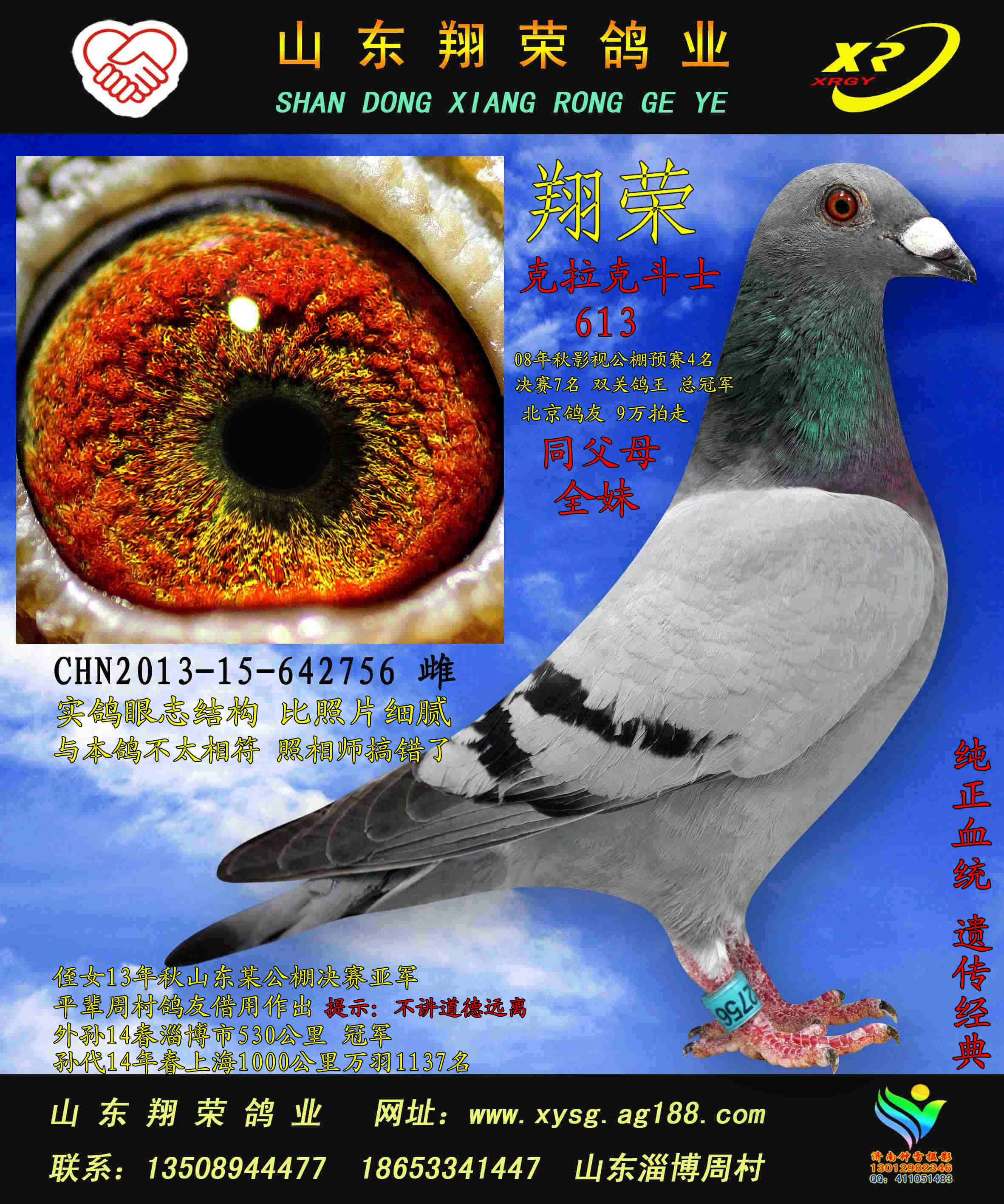 本期拍卖鸽拍卖照片2月前拍照,现原实鸽,眼志色素,整体非常完美,骨架超硬朗,如有缘竞拍鸽友,收到本鸽,眼志不复,整体骨架结构不完美,本鸽业一如既往承诺,无条件退款,血统看不出来的,诚实做人诚信做事....详细血统书随附带