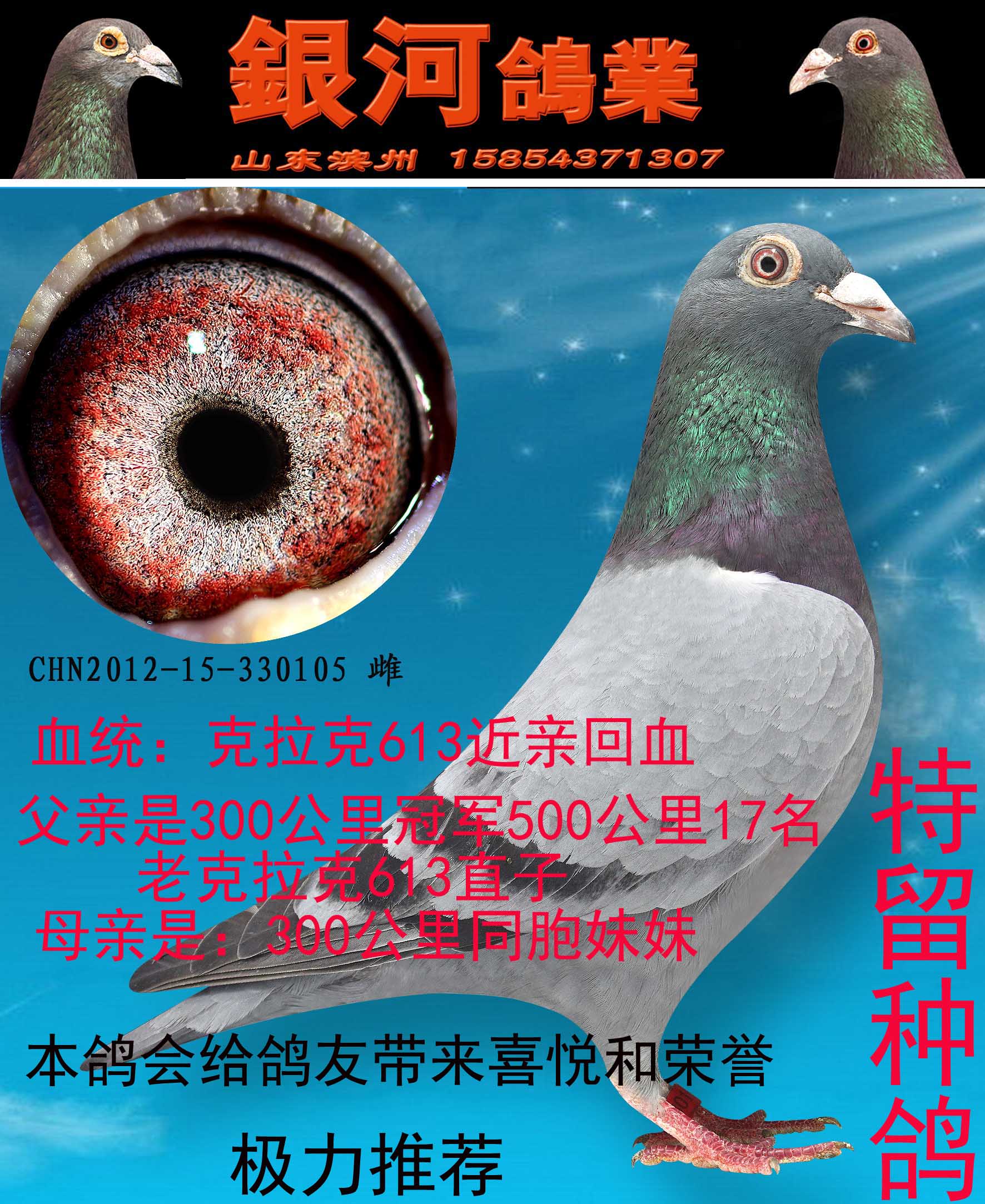 >> 查看拍卖商品