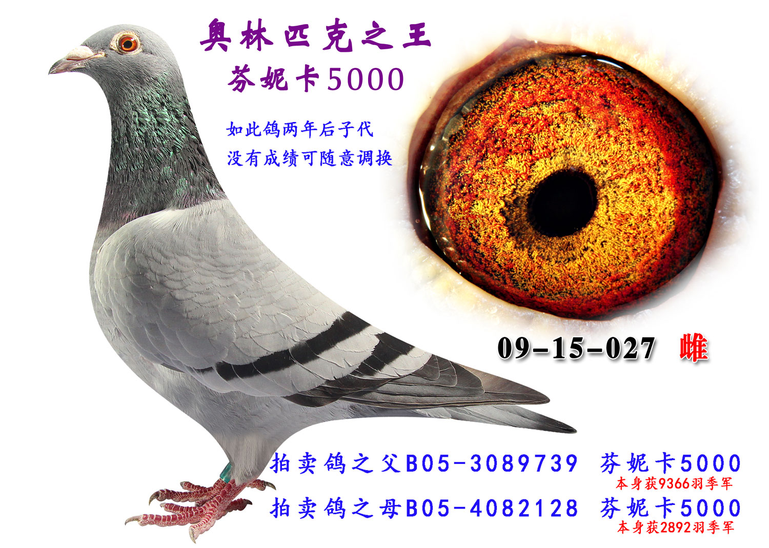 奥林匹克之王.芬妮卡5000 保证金级 拍卖
