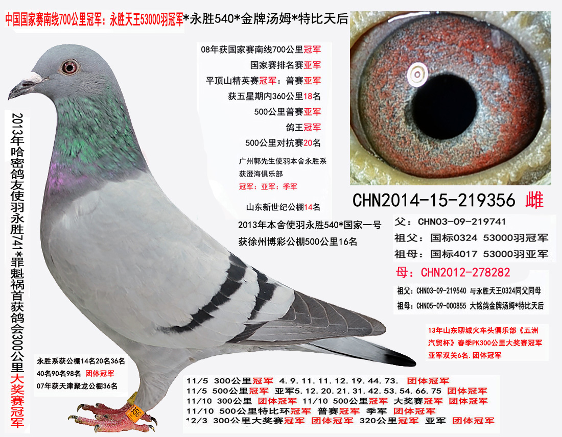 永胜天王0324*4017*永胜540*金牌汤姆 保证金级 拍卖