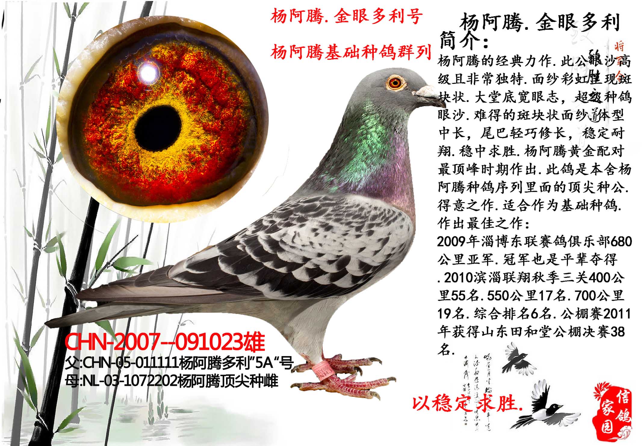"金眼"杨阿腾 保证金级 拍卖