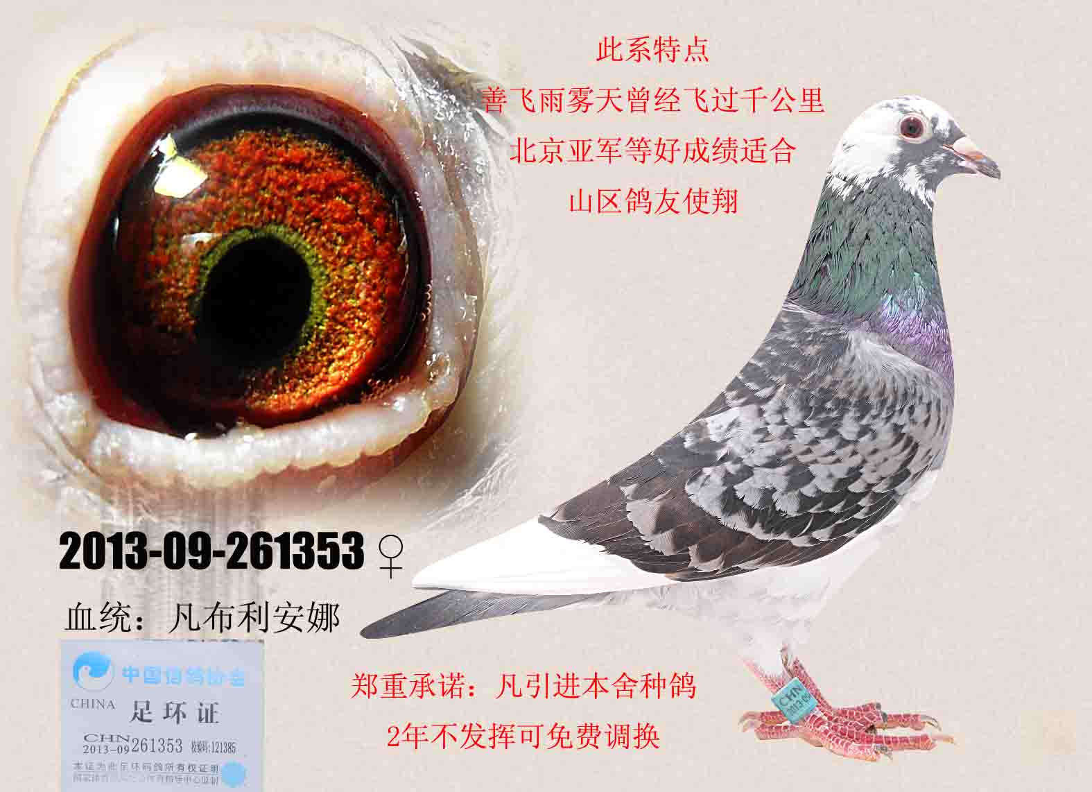 凡布利安娜★★★ 保证金级 拍卖