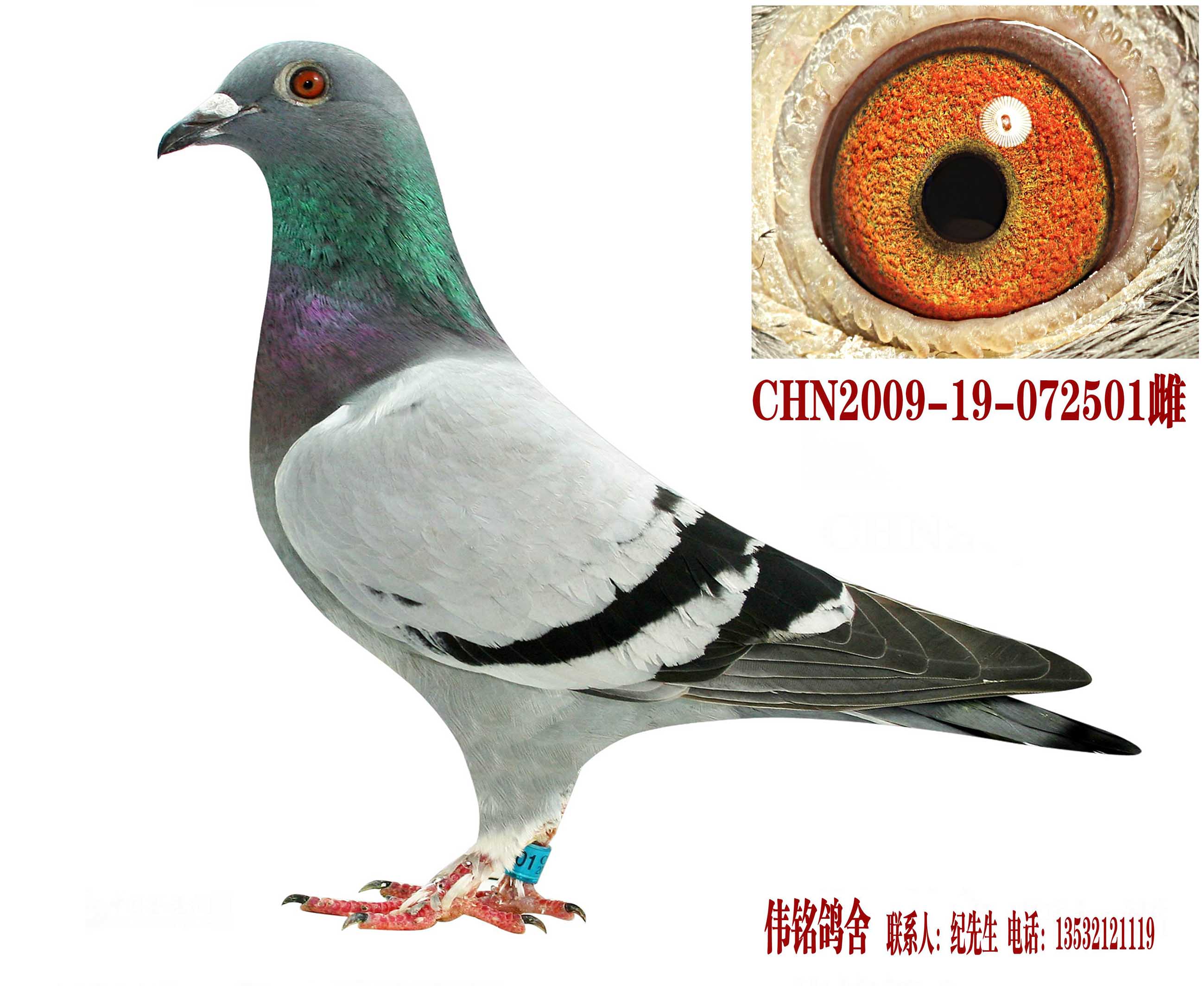 H23870.jpg