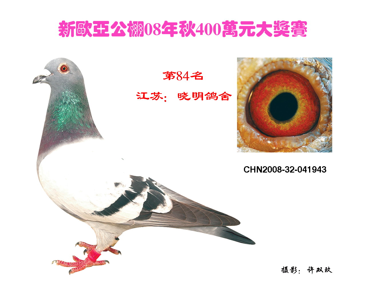 H5163.jpg