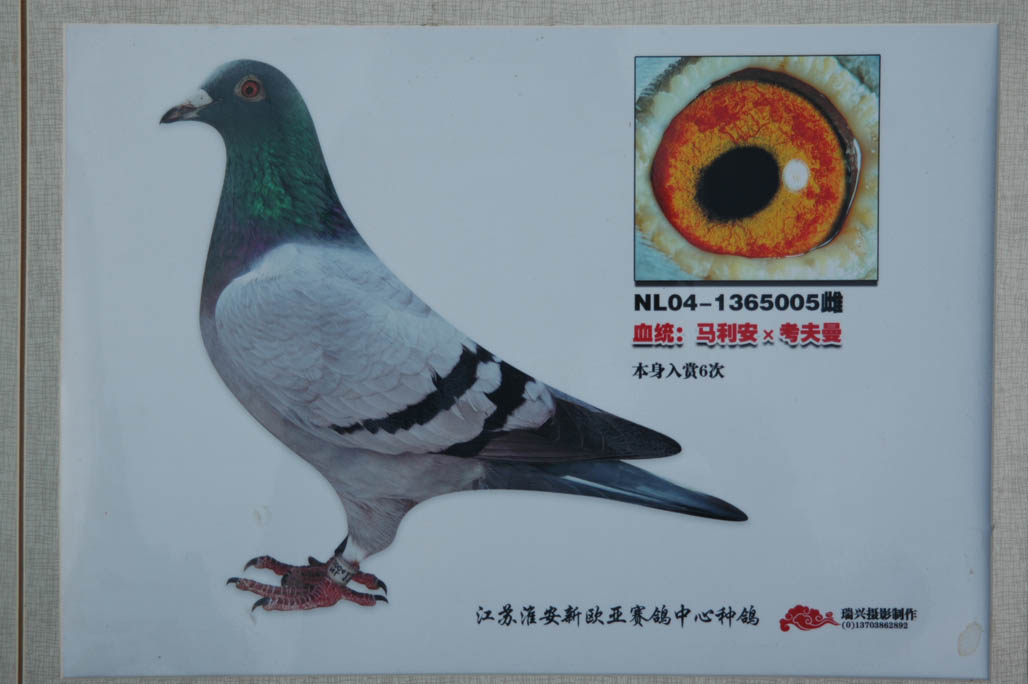 H7157.jpg