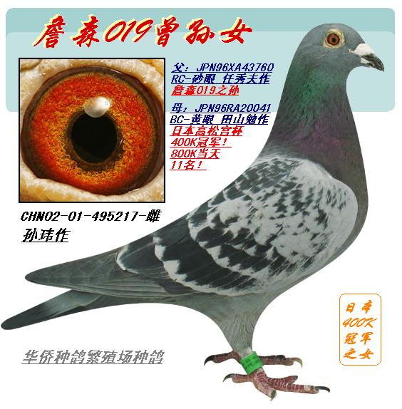 10/"019詹森217" 保证金级 拍卖