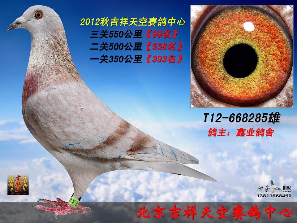 三关99名,《北京开创者大赢家台湾鑫业》 保证金级 拍卖