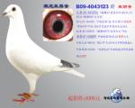 宋妮娅原舍B09-4043123“美丽号”