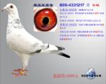 宋妮娅原舍B09-4331217“安妮”