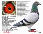詹森火箭409