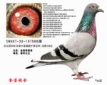亚军714全妹
