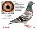 剑客直子