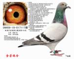 铭翔153名