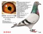 铭翔55名