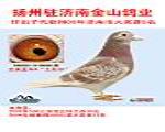 全美亚军X土尼尔