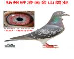 “黑桃A”X詹森老白眼
