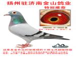胡本X慕利门